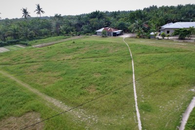 Tanah di Sido Mukti